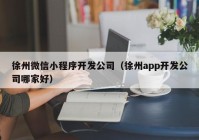 徐州微信小(xiǎo)程序开发公司（徐州app开发公司哪家好）