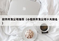 软件开发公司推荐（小(xiǎo)程序开发公司十大排名）